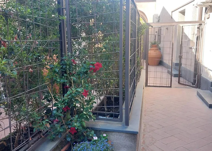 Il Cortile 佩达拉